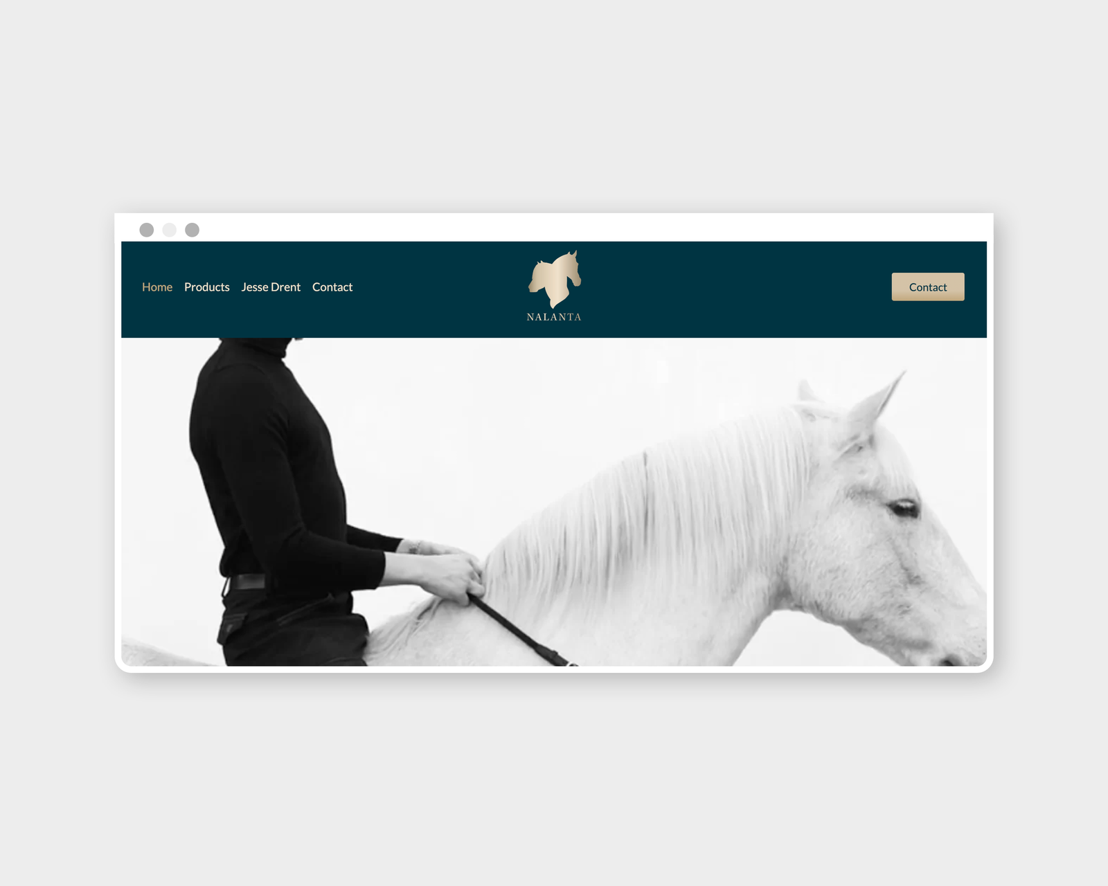 Nalanta website